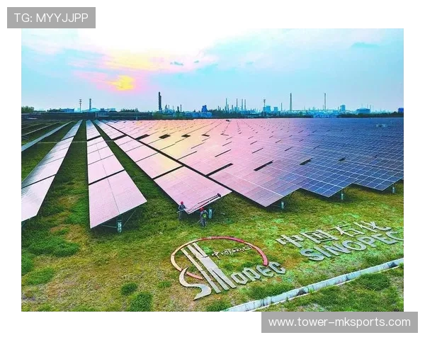 拉菲尼亚慈善行动温暖人心,助力社区发展新篇章 拉菲尼亚慈善行动温暖人心,助力社区发展新篇章